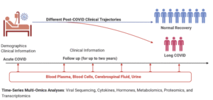 The Evolution of Fintech Pre and Post COVID