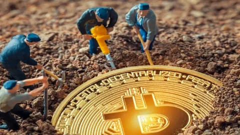 The Evolution and Economics of Bitcoin Mining in 2025